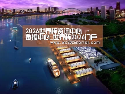 案例展示八