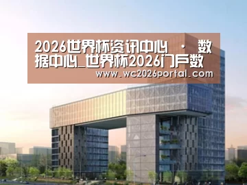 案例展示四