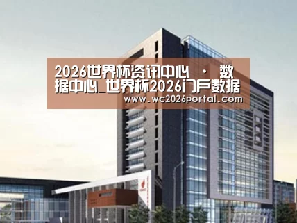 案例展示七