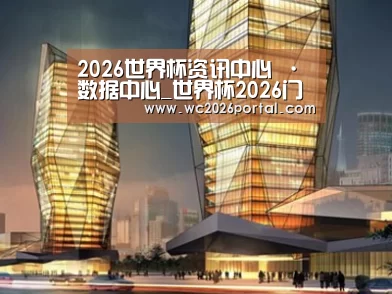 案例展示三