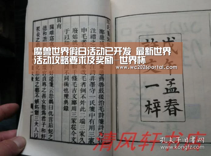 魔兽世界假日活动已开发 最新世界活动攻略要求及奖励-世界杯(图2) 世界杯